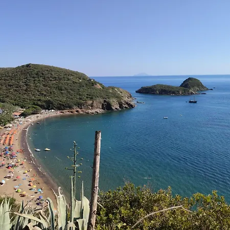 Dei Cavallucci Marini Holiday home