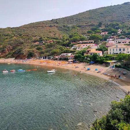 Dei Cavallucci Marini Holiday home