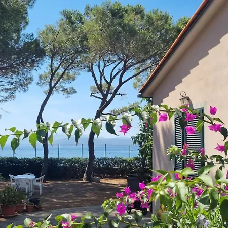 Dei Cavallucci Marini Holiday home Palazzo (Livorno)